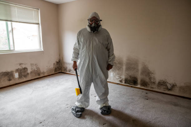 Best Attic Mold Removal  in Gonzales, CA